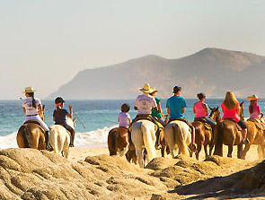 Horseback Riding